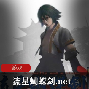 武侠格斗游戏《流星蝴蝶剑.net》免安装版推荐