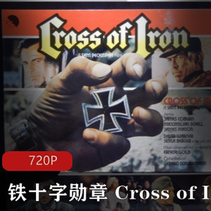 电影《铁十字勋章 Cross of Iron》720P