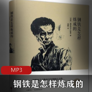 有声书《第三种爱情》播讲：李满超 海青