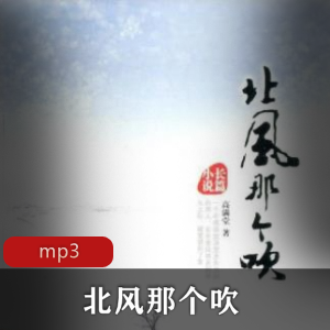 有声小说《北风那个吹》全41集