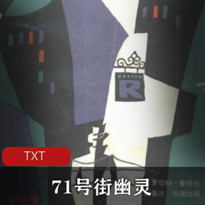 西方“惊险小说之王”罗伯特·陆德伦的代表作《71号街幽灵》