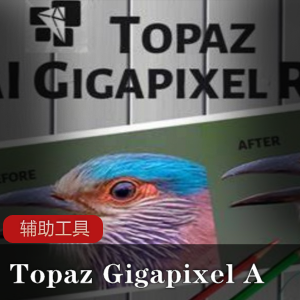 专用图片无损放大软件《Topaz Gigapixel AI》