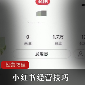 小红书经营技巧，从0开始经营小红书（教程）