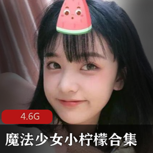 魔法少女小柠檬合集