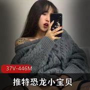 某推考研网红女神（恐龙小宝贝）