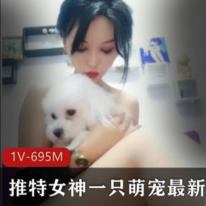 完具娜美与闺蜜的游戏《玩具娜美与闺蜜》