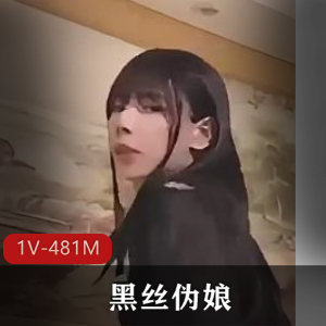 黑丝伪娘 [1V-481M]